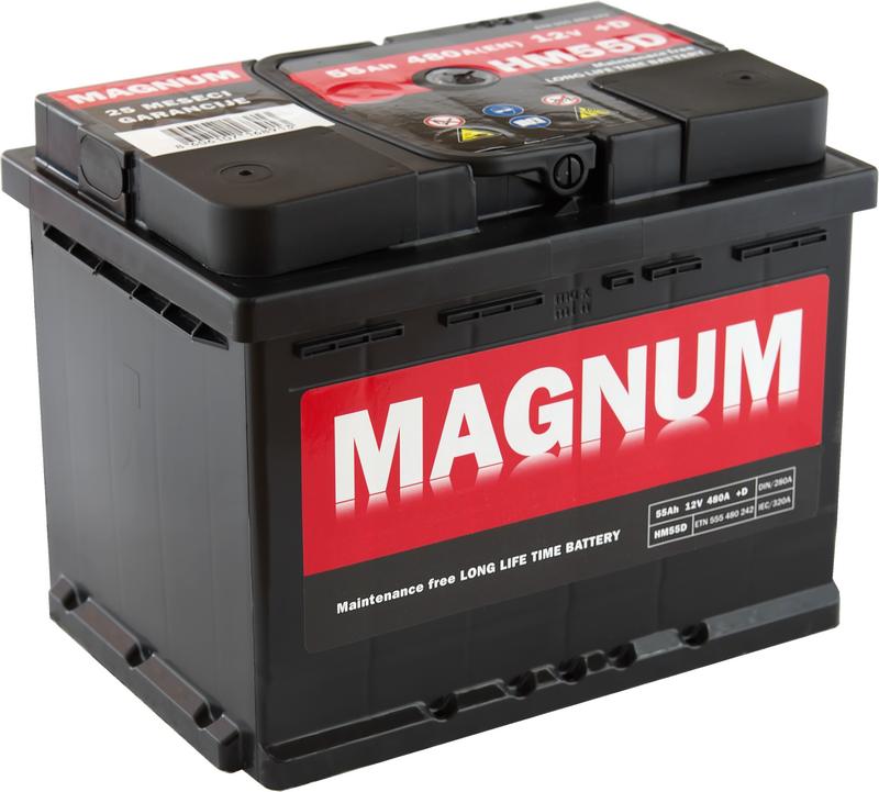 AKUMULATOR 12V-55AH L/D+ MAGNUM
