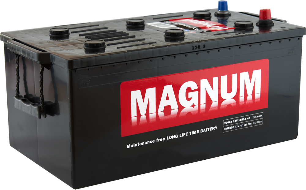 AKUMULATOR 12V-220AH L+ MAGNUM
